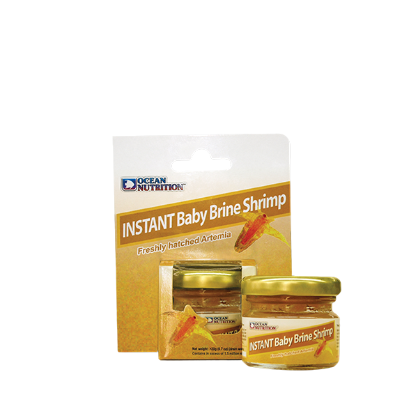 Instant shop brine shrimp