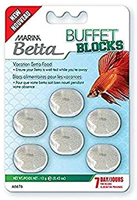 Marina Betta Buffet Blocks Green Desert Aquarium