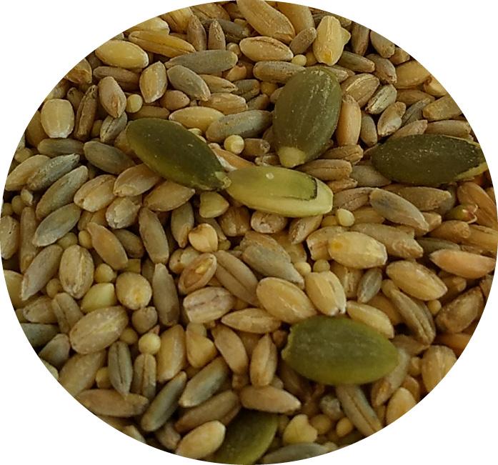 TOP'S PARROT ALL IN ONE SEED MIX - 5 LBS - 2.27 KGS