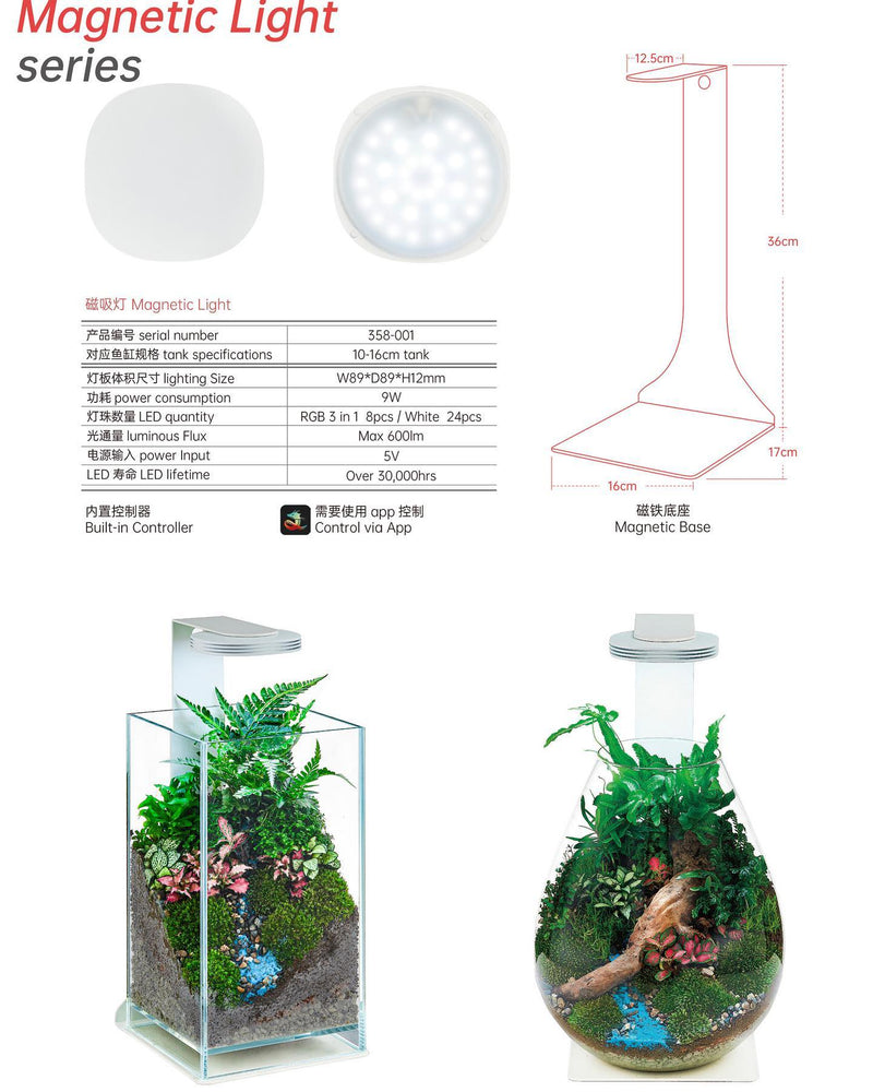 CHIHIROS - MAGNETIC LIGHT AND GLASS