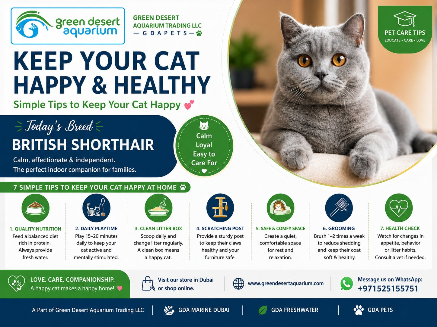 Keep Your Cat Happy & Healthy: Simple Home Care Tips for Cat Owners
