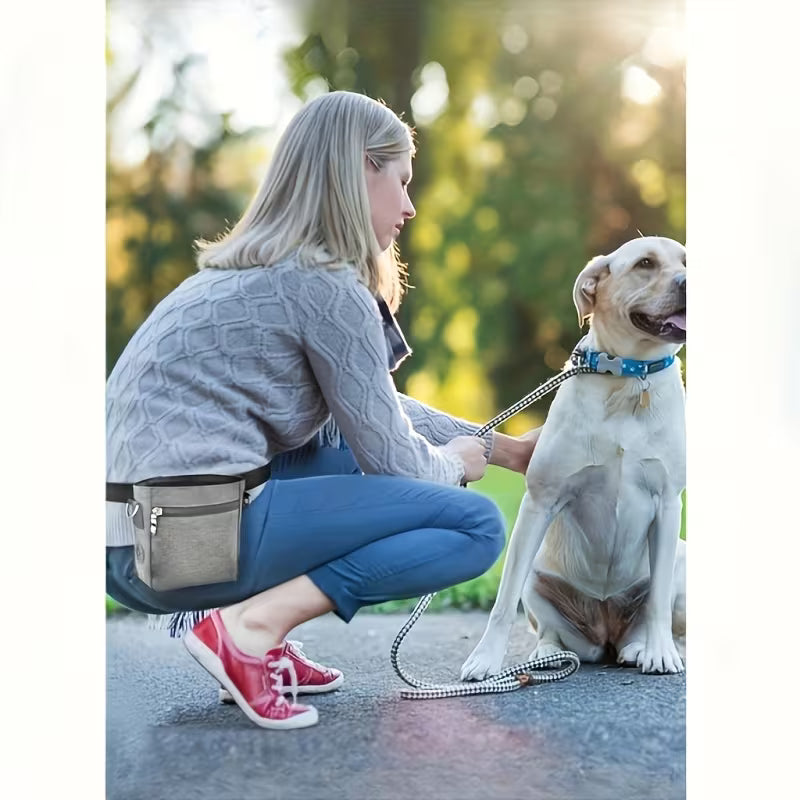 Pet Training Bag