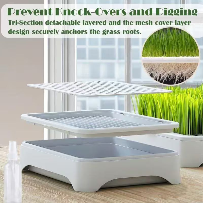 Cat Grass Planter