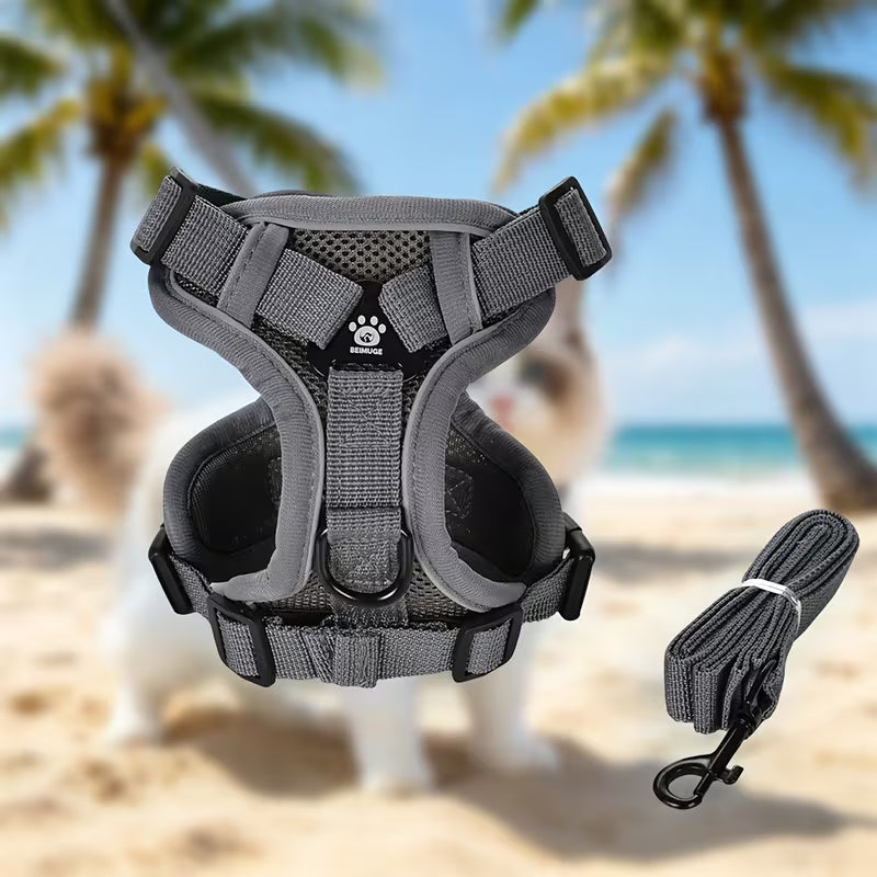 Escape-Proof Cat Harness and Leash Set