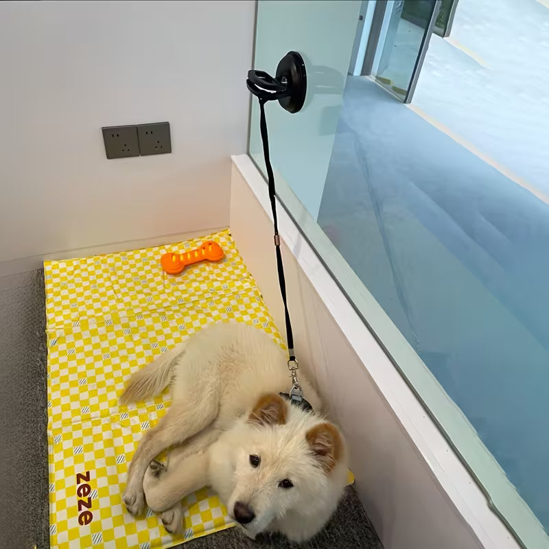 Pet Bath Holder with Suction Cup and Lifting Rope