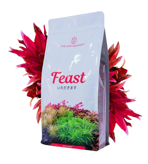 2HR AQUARIST -Apt FEAST