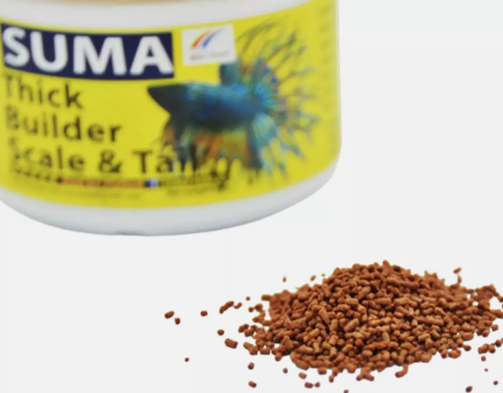 SUMA  THICK BUILDER SCALE & TAIL 20g