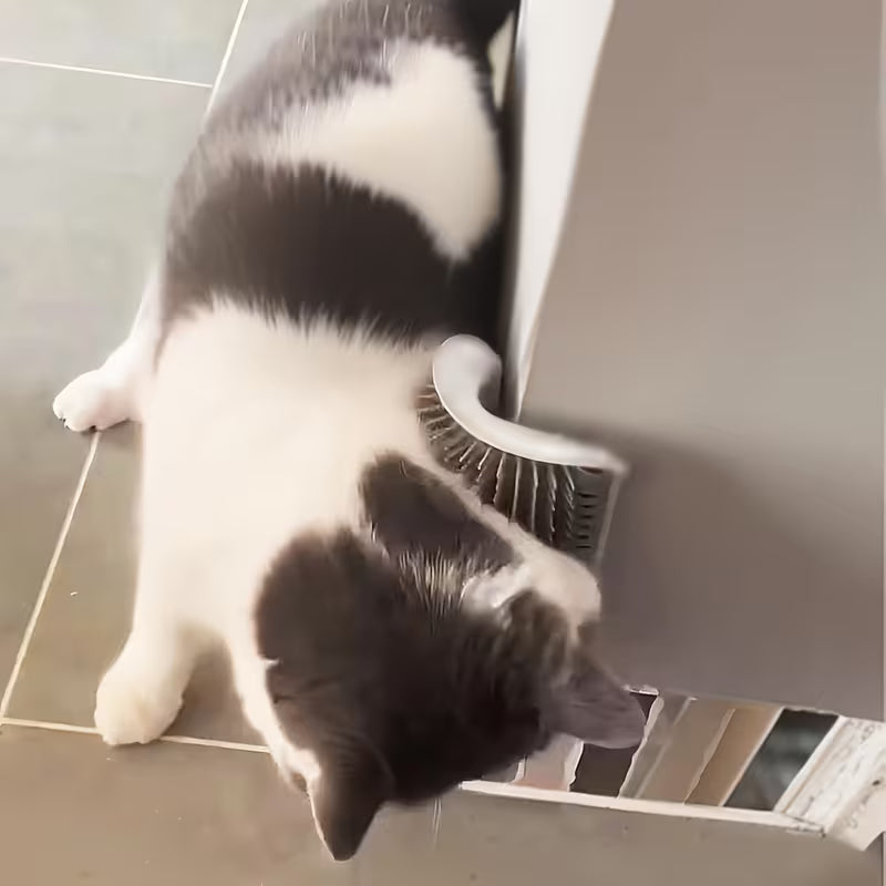 Cat Scratching Comb Wall