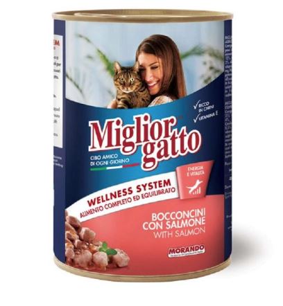 Miglior Chunks with Salmon Wet Cat Food  405g