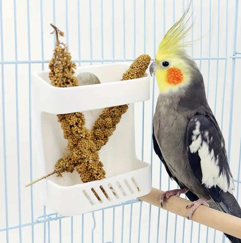Bird Fruit and Vegetable Feeder Bowl
