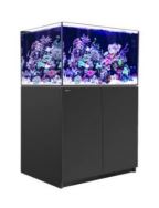 REEFER 300 G2+ (BLACK/WHITE) -PRE ORDER