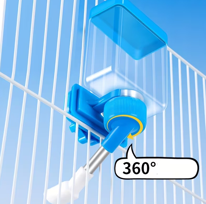 Bird Water Dispenser and Feeder
