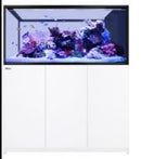 Peninsula S-700 G2+ WHITE/BLACK- PRE ORDER