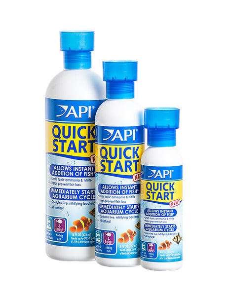 API - Quick Start