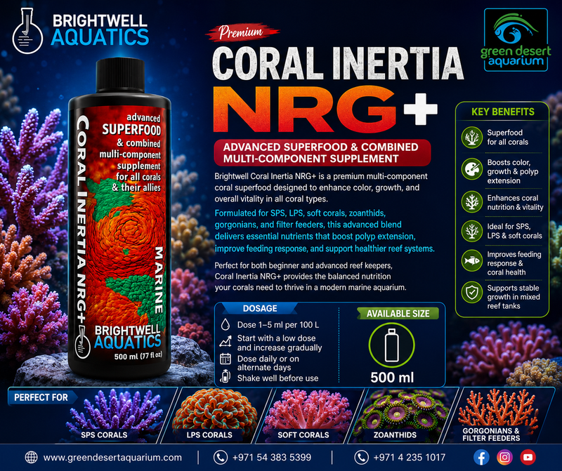 Brightwell Coral Inertia NRG+ – Advanced Coral Superfood Now Available!