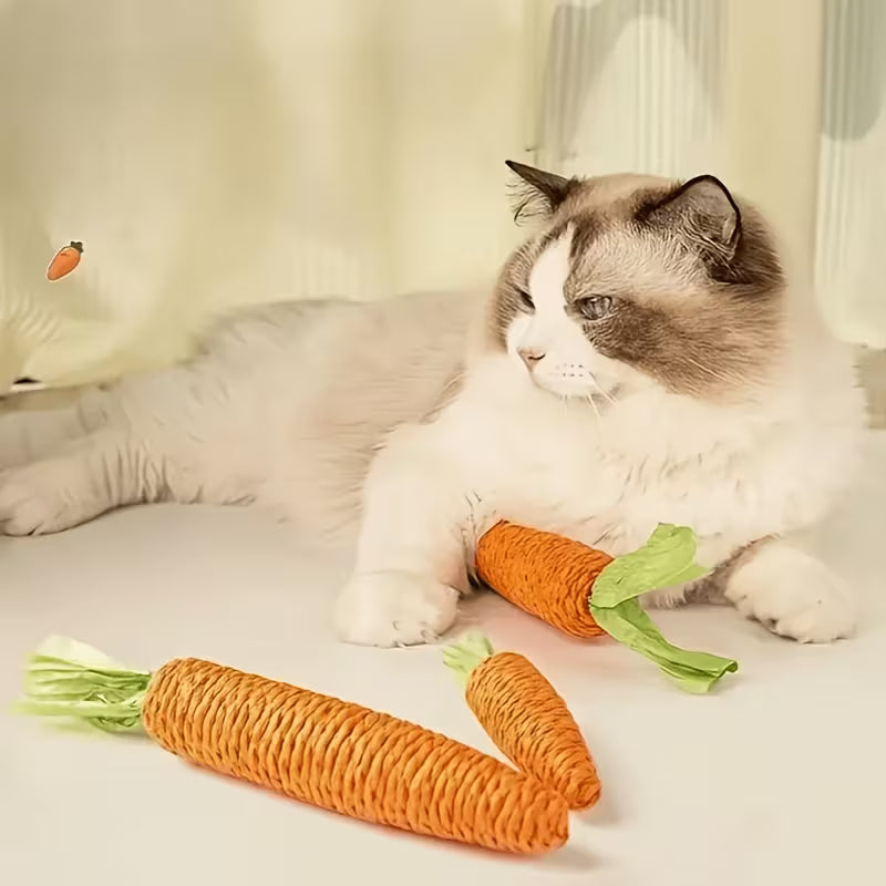 Carrot Shaped Cat Biting Toy