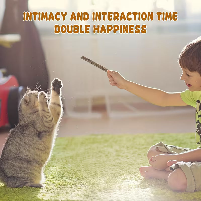 Biting Sticks for Kittens and Adult Cats