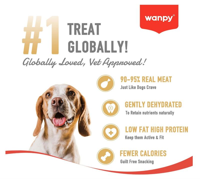 Wanpy Soft Lamb Jerky Slices 100g