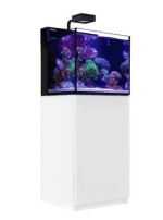 MAX NANO CUBE-WHITE (TANK RD40002G BR  + CABINET RD40004 )- PRE ORDER