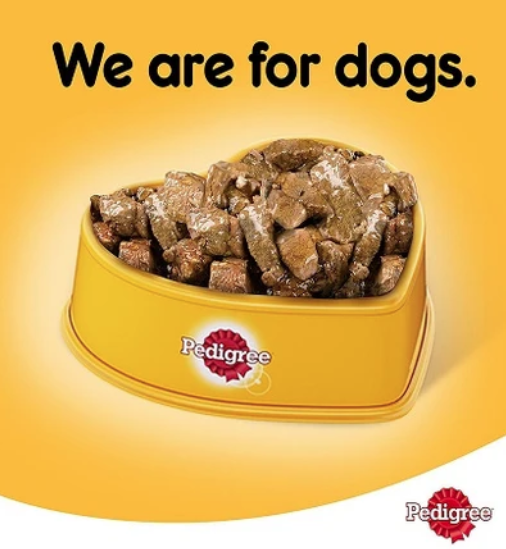 Pedigree Chicken Chunks in Gravy Wet Dog Food