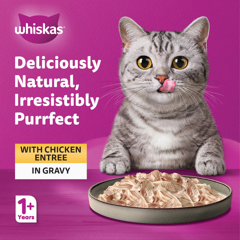 Whiskas Purrfectly Chicken Wet Cat Food in Gravy 80g