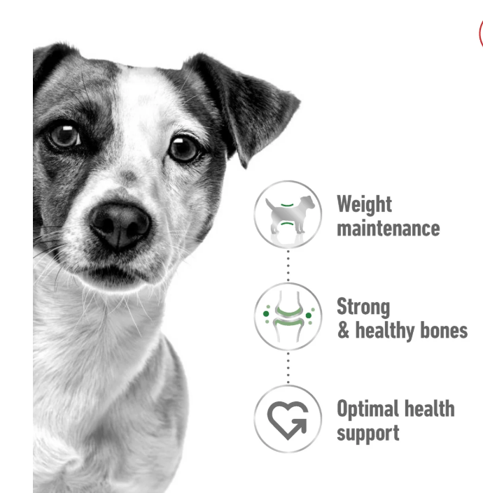 Royal Canin Size Health Nutrition Mini Adult