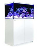 REEFER 250 G2+ WHITE- PRE ORDER
