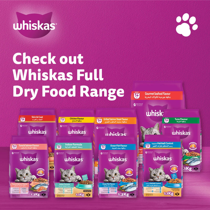 Whiskas Adult Skin & Coat Chicken and Salmon Dry Cat Food 1.1kg