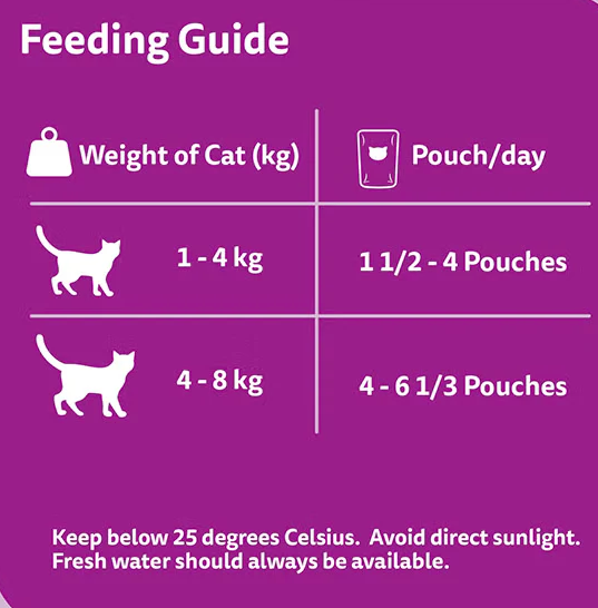 Whiskas Oceanfish Pouches Adult Wet Cat Food in Jelly