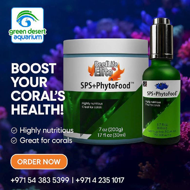 SPS+PHYTOFOOD 50ML