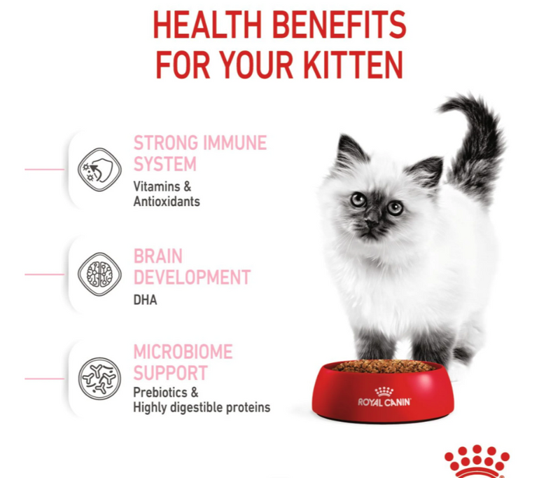 Royal Canin Feline Health Nutrition Kitten Dry Cat Food