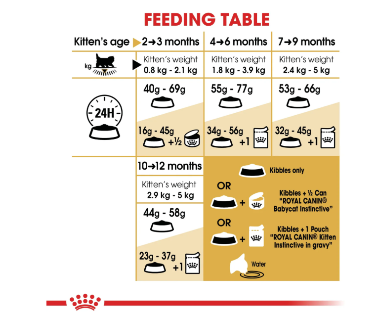 Royal Canin Feline Breed Nutrition Persian Kitten Dry Food
