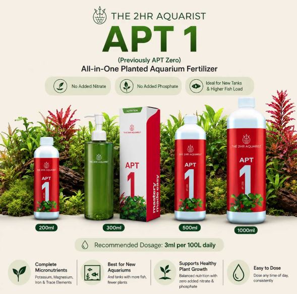 2HR AQUARIST - Apt Zero