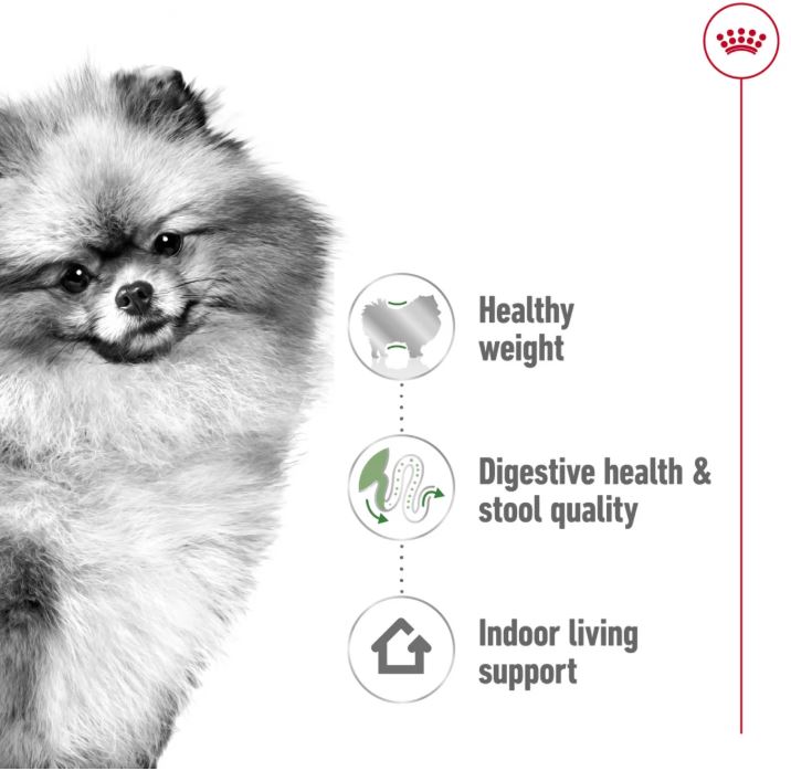 Royal Canin Size Health Nutrition Mini Indoor Adult 1.5kg
