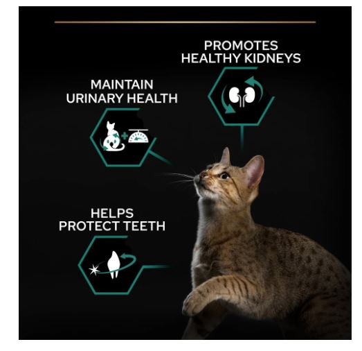 PURINA PRO PLAN Sterilised Adult Renal Plus Dry Cat Food with Turkey  1.5kg