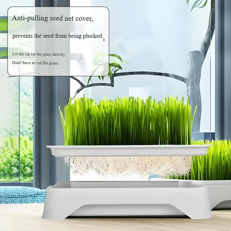 Cat Grass Planter