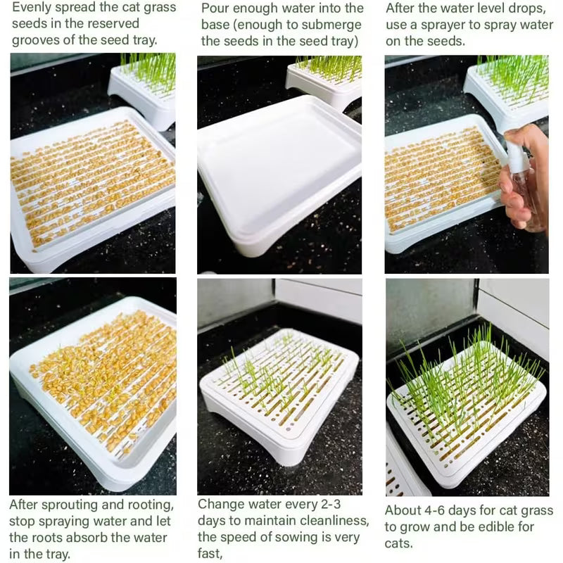 Cat Grass Planter