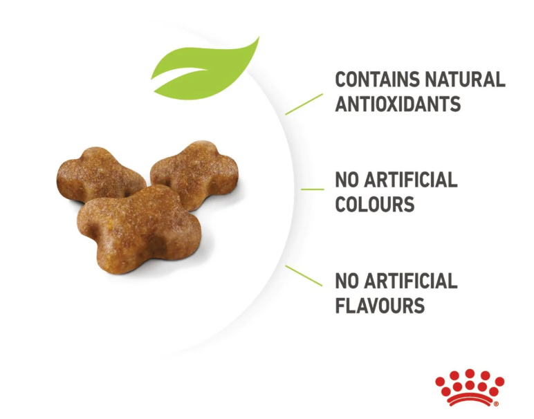 Royal Canin Feline Health Nutrition Kitten Dry Cat Food