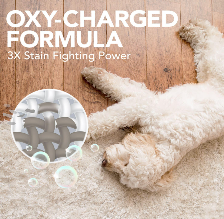 Simple Solution Oxy Charged Pet Stain & Odor Remover  32oz