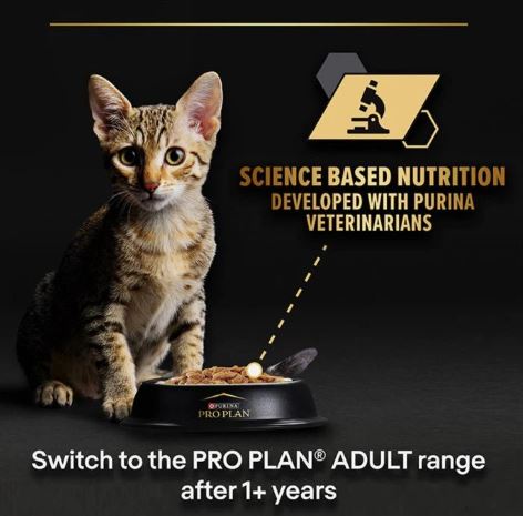 PURINA PRO PLAN Baby Kitten Mousse with Chicken  24 × 85g