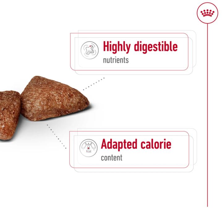 Royal Canin Size Health Nutrition Mini Indoor Adult 1.5kg
