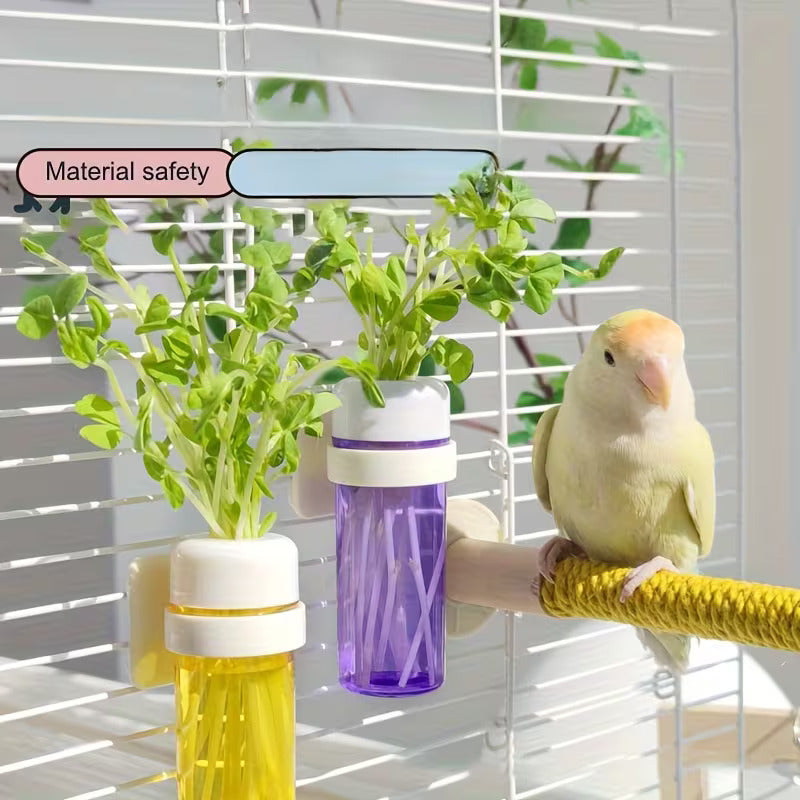 Feeding Cage Container