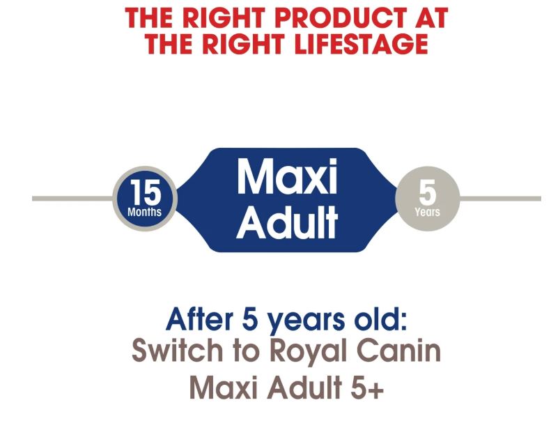 Royal Canin Size Health Nutrition Maxi Adult Dry Dog Food