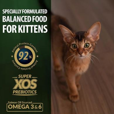 Reflex Plus with Chicken Dry Kitten Food 1.5 kg