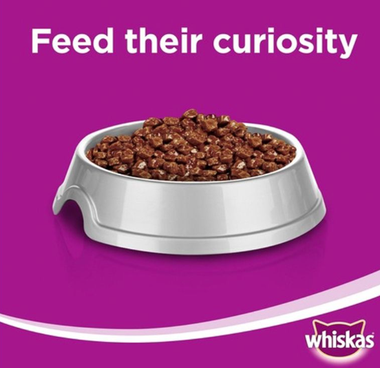 Whiskas Mince Lamb Turkey & Vegetable in Gravy Adult Cat Food  400g