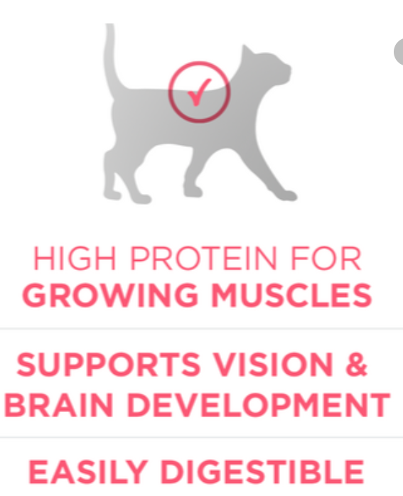 Purina ONE Active Kitten Chicken   1.2kg