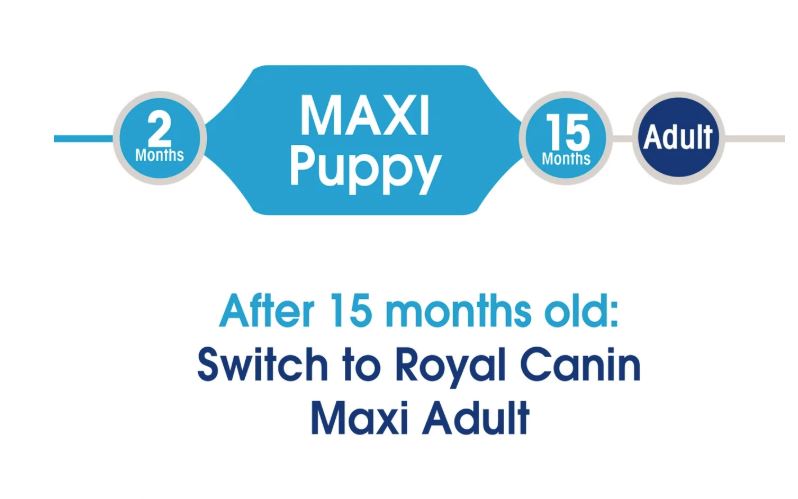 Royal Canin Size Health Nutrition Maxi Puppy Dry Dog Food