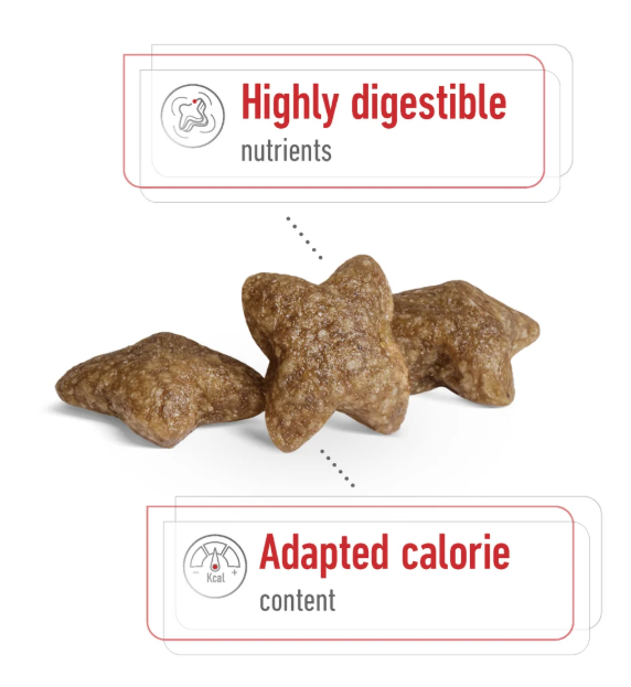Royal Canin Size Health Nutrition Mini Adult
