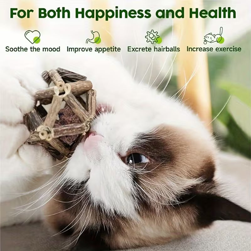 Interactive Rattan Cage Cat Toy