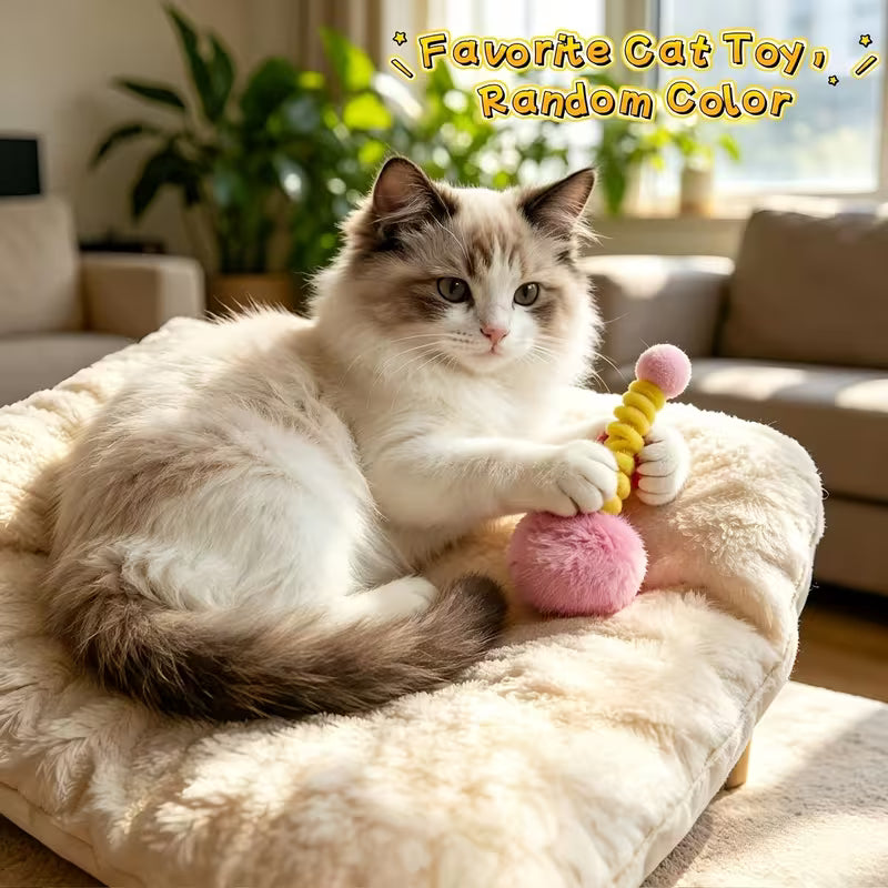 Colorful Spring Ball Cat Toy